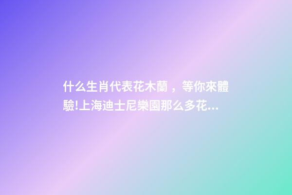 什么生肖代表花木蘭，等你來體驗!上海迪士尼樂園那么多花木蘭主題你找到了么